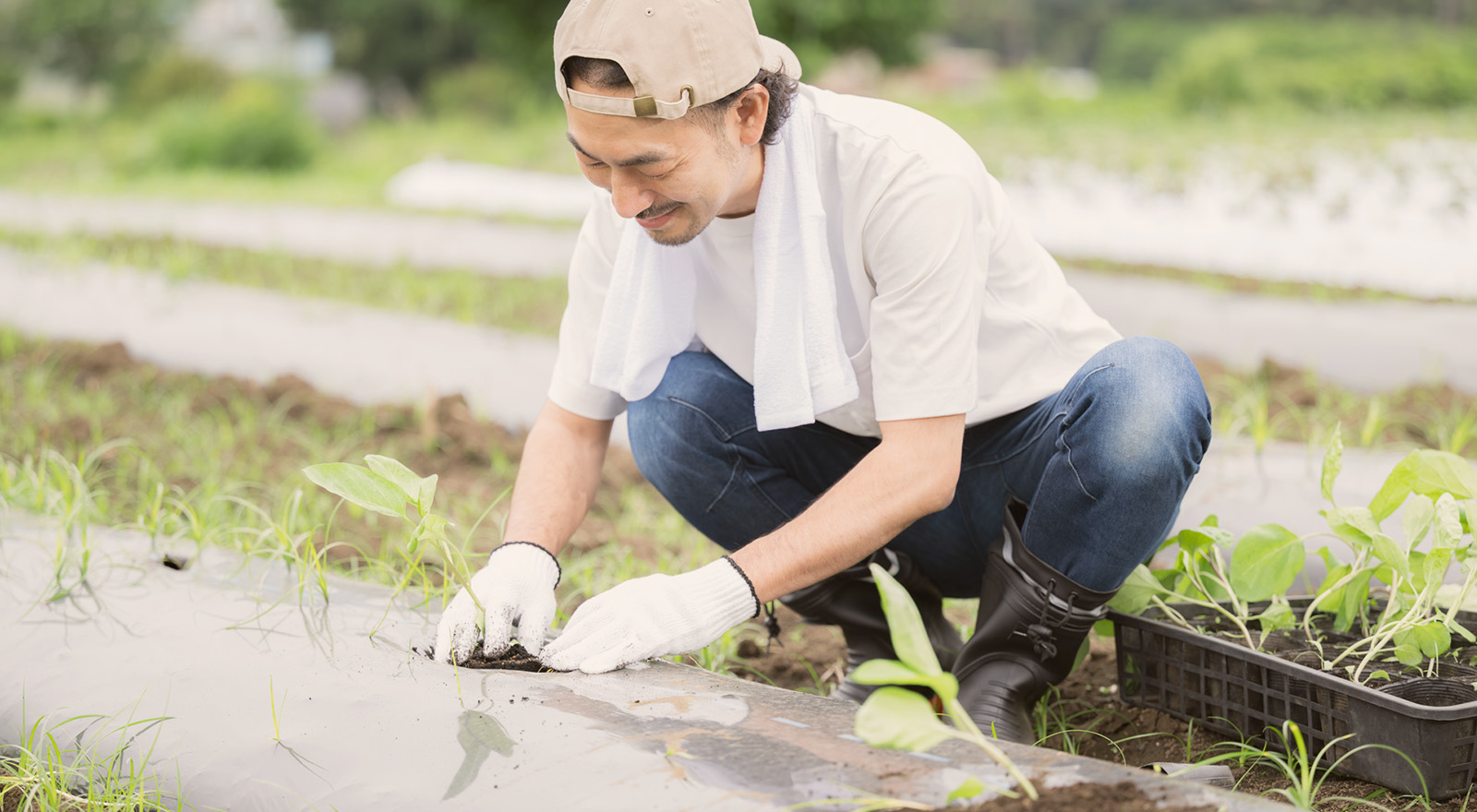 安定収穫を実現する効果実感型の土壌改良