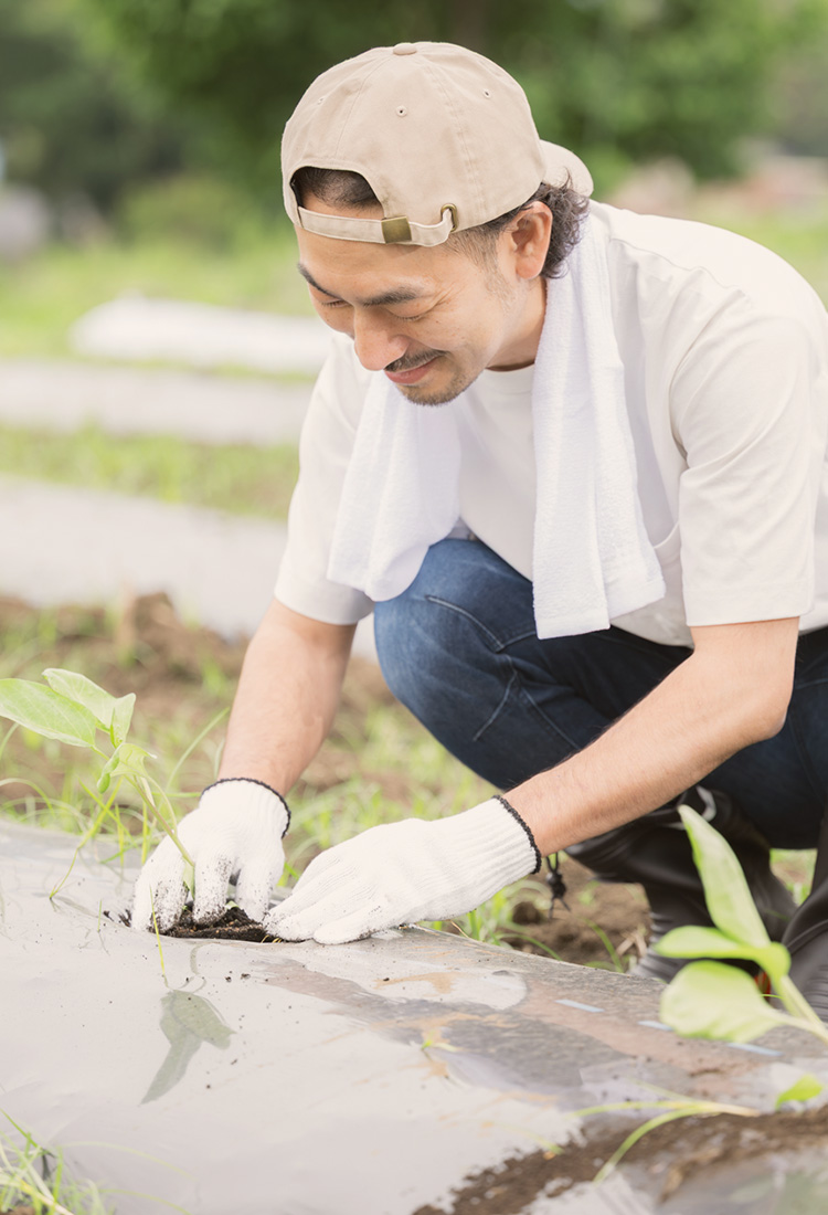 安定収穫を実現する効果実感型の土壌改良
