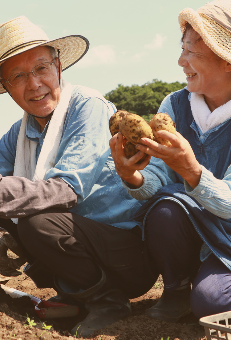 安定収穫を実現する効果実感型の土壌改良