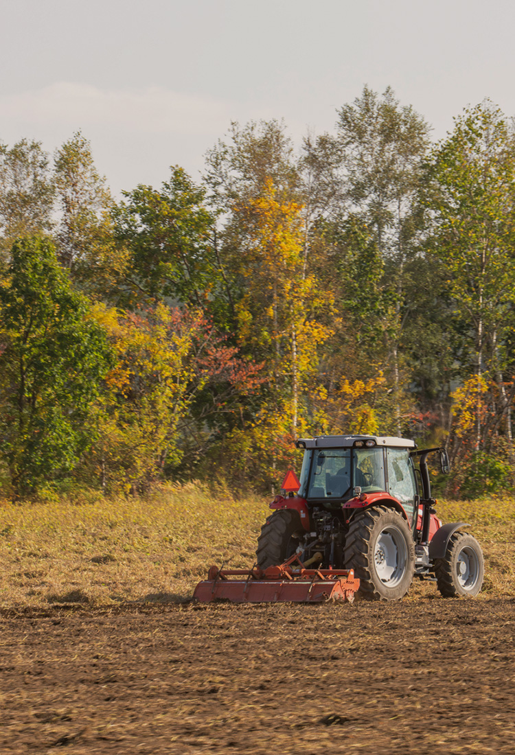 安定収穫を実現する効果実感型の土壌改良
