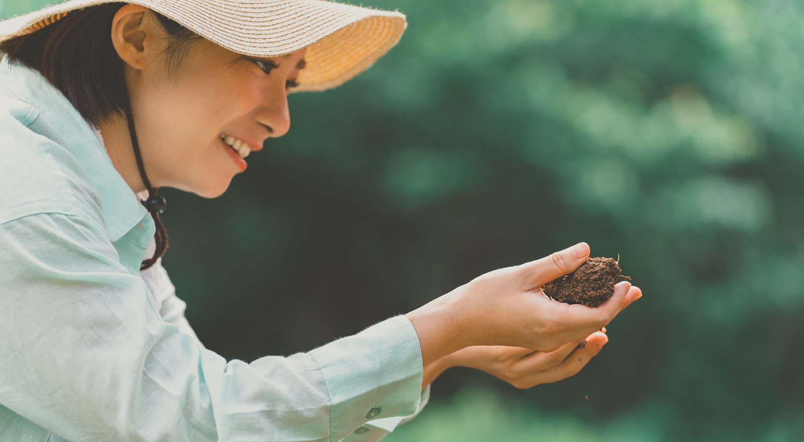 安定収穫を実現する効果実感型の土壌改良