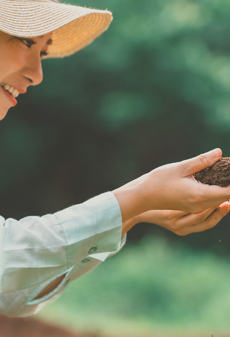 安定収穫を実現する効果実感型の土壌改良