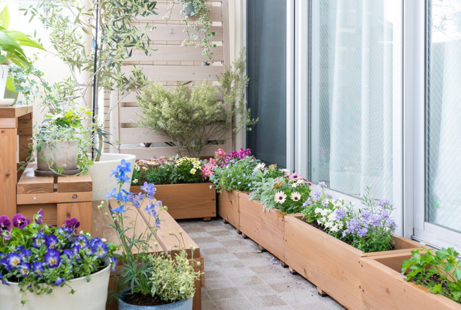 ガーデニング好きさんのお悩みあるある