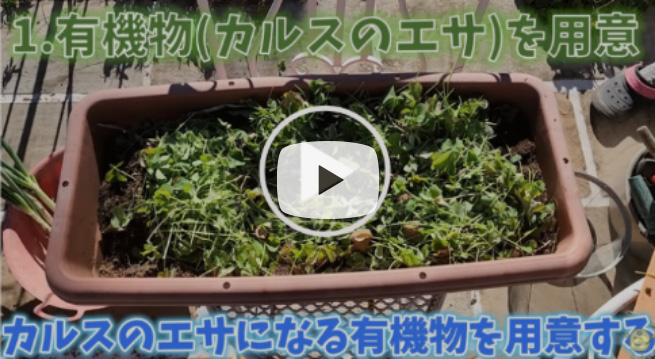 動画でわかる『<ruby>超<rt>スーパー</rt></ruby>カルスNC-R』の使い⽅