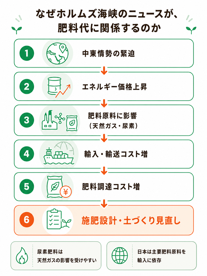なぜ、ホルムズ海峡のニュースが肥料代に関係するのか?