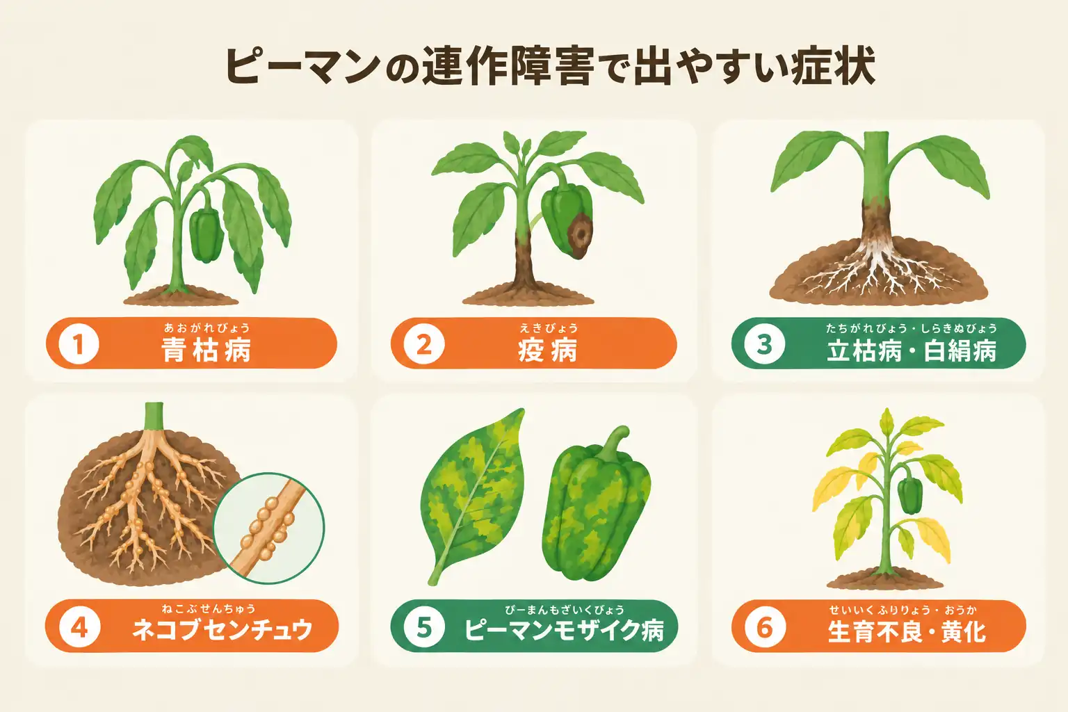 ピーマンの連作障害で出やすい症状