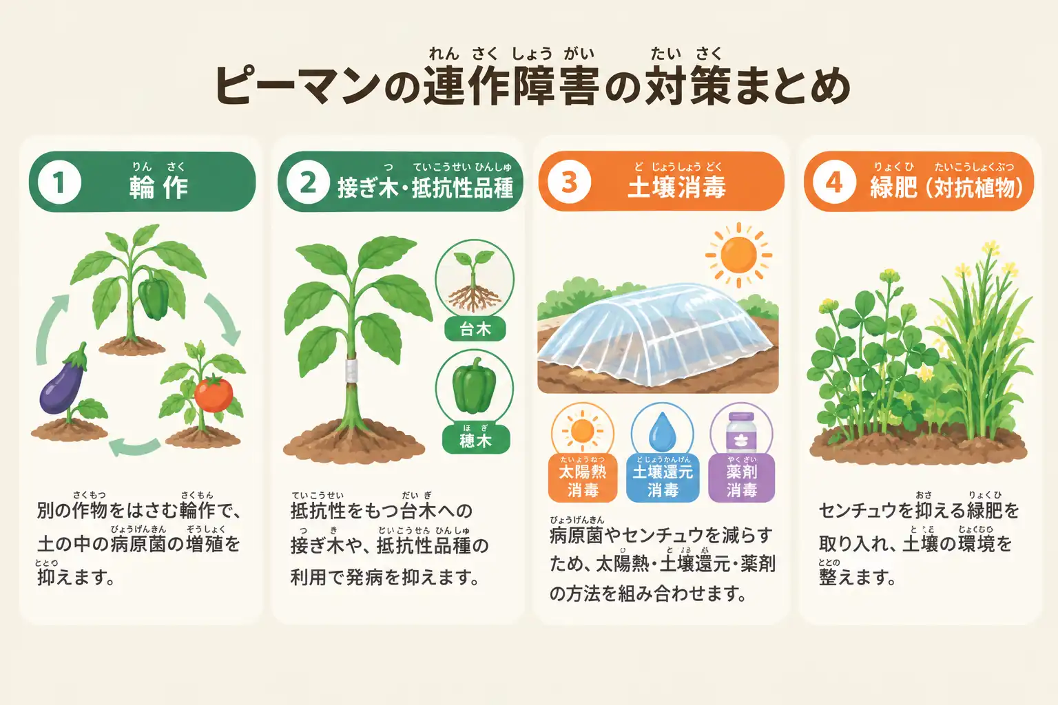 ピーマンの連作障害に対する一般的な対策と限界