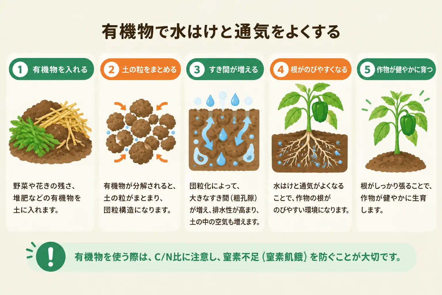 菌を減らす対策とあわせて水はけと有機物を見直す